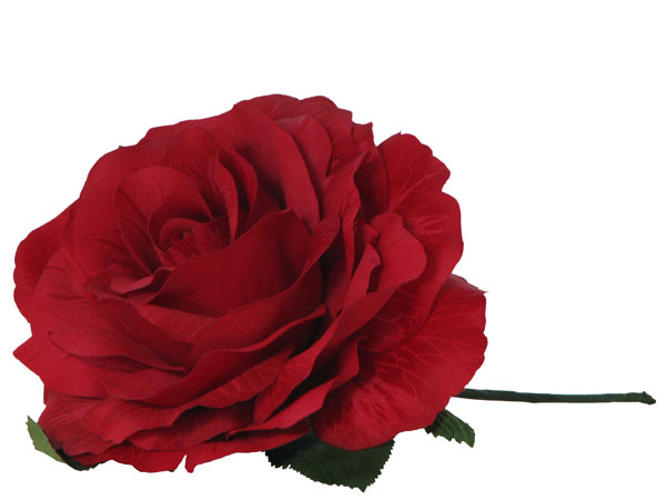 Haarblume-rot-Rose-468-0.jpg